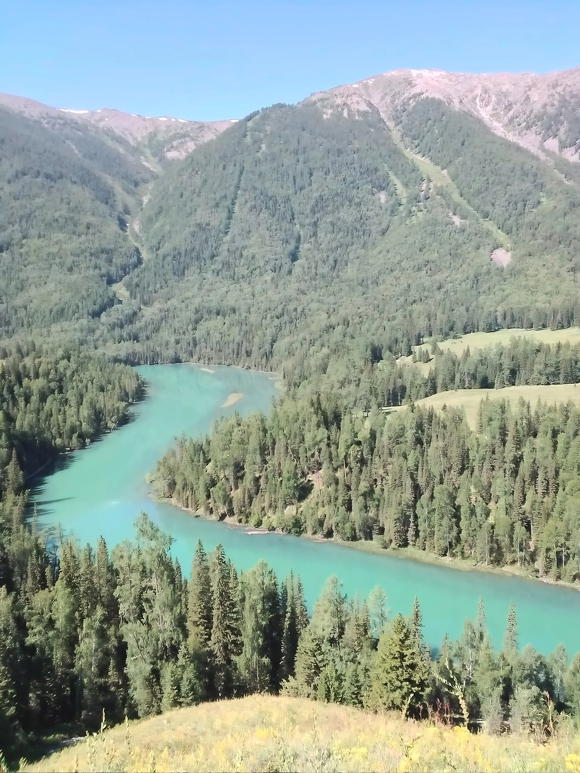 A turquoise river with pale sandbars curves through dense conifer forest beneath rocky mountain ridges with small patches of snow.