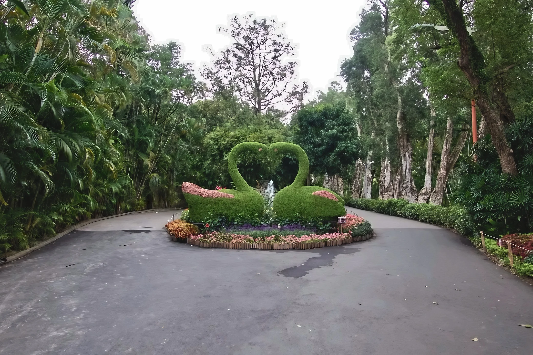 Two swan-shaped topiaries form a heart with their curved necks in a flower bed surrounded by trees, branching paths, and a small fountain.