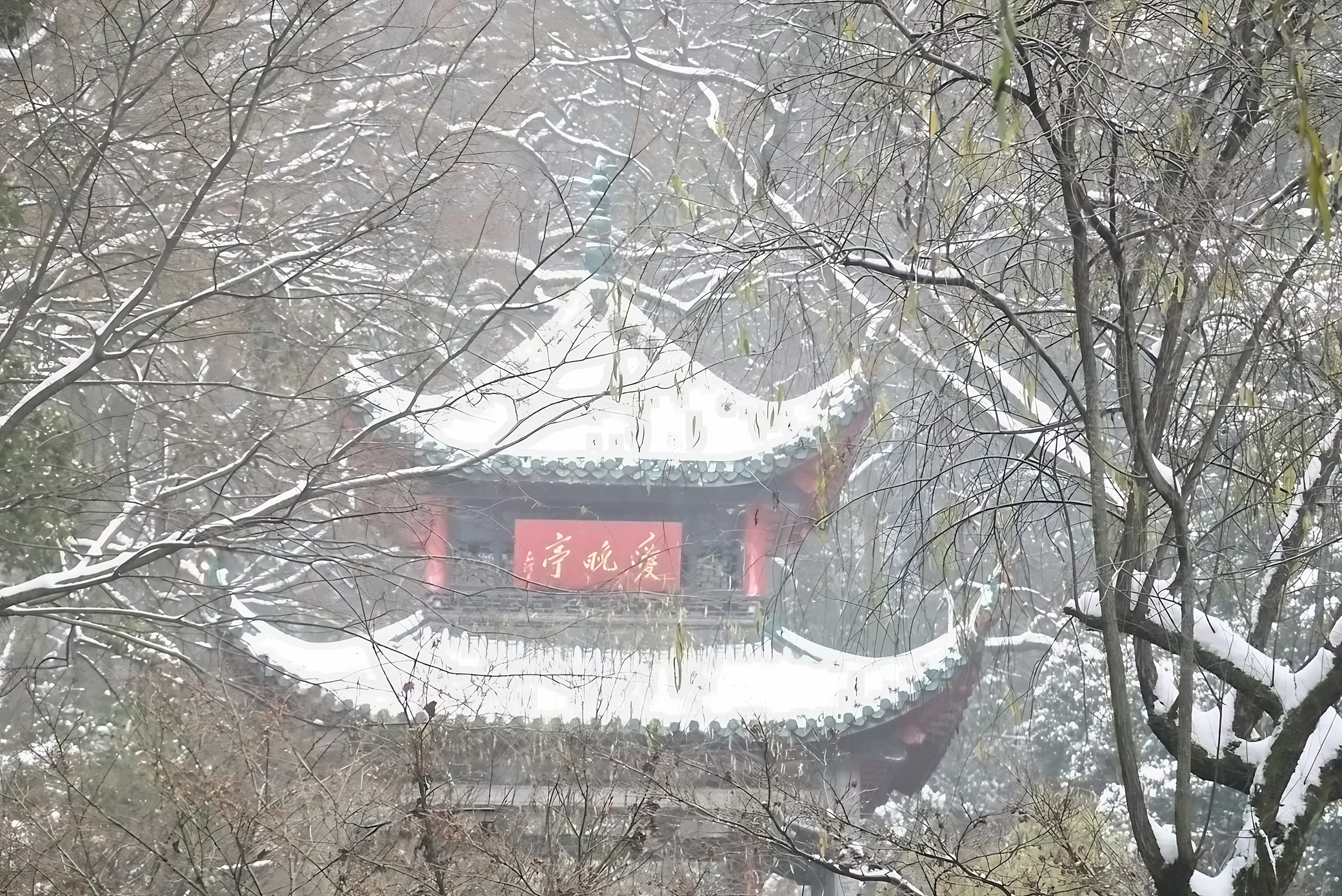 Aiwan Pavilion’s snow-covered green eaves and red plaque appear through overlapping tree trunks and hanging branches.