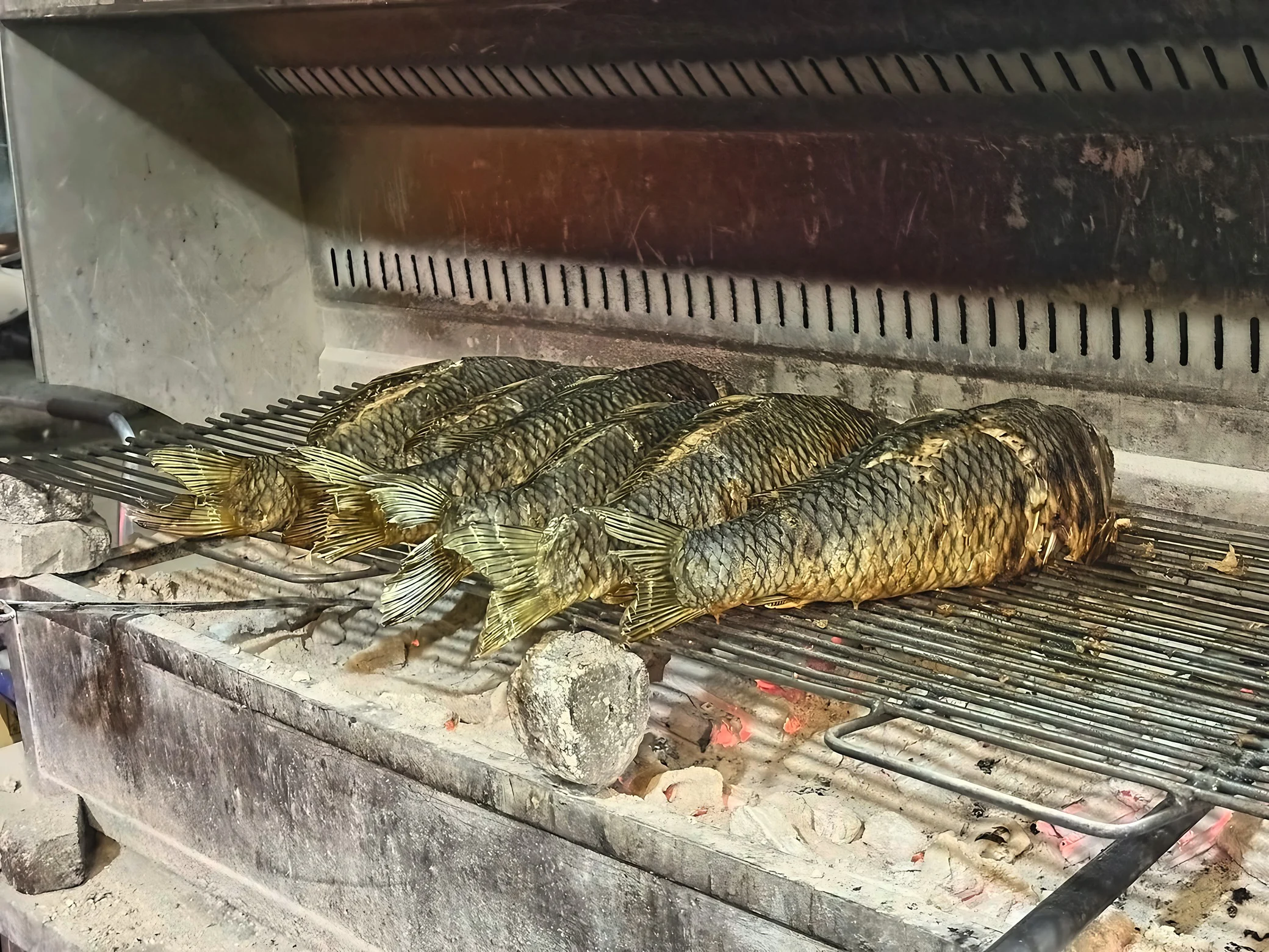 Whole fish with golden and dark brown grill marks lie side by side above glowing red charcoal, their tails spread toward the foreground.