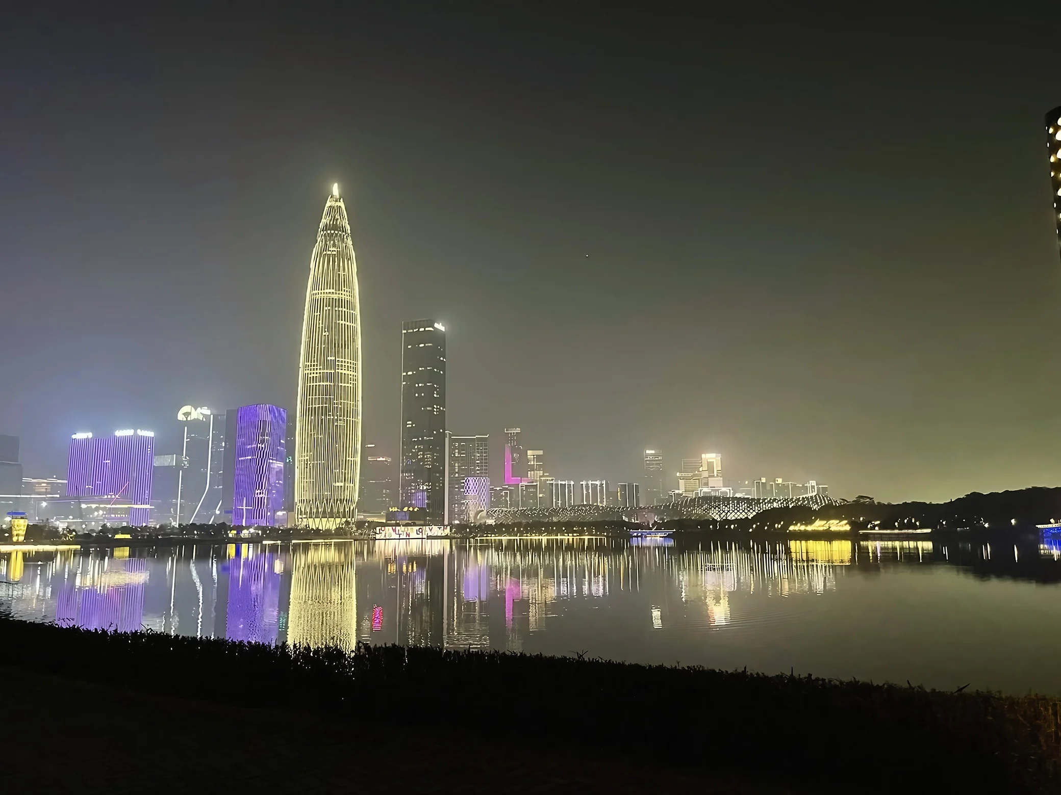 The illuminated China Resources Tower and surrounding skyline reflect across the lake at Shenzhen Talent Park, with dark shrubs and a path in the foreground.