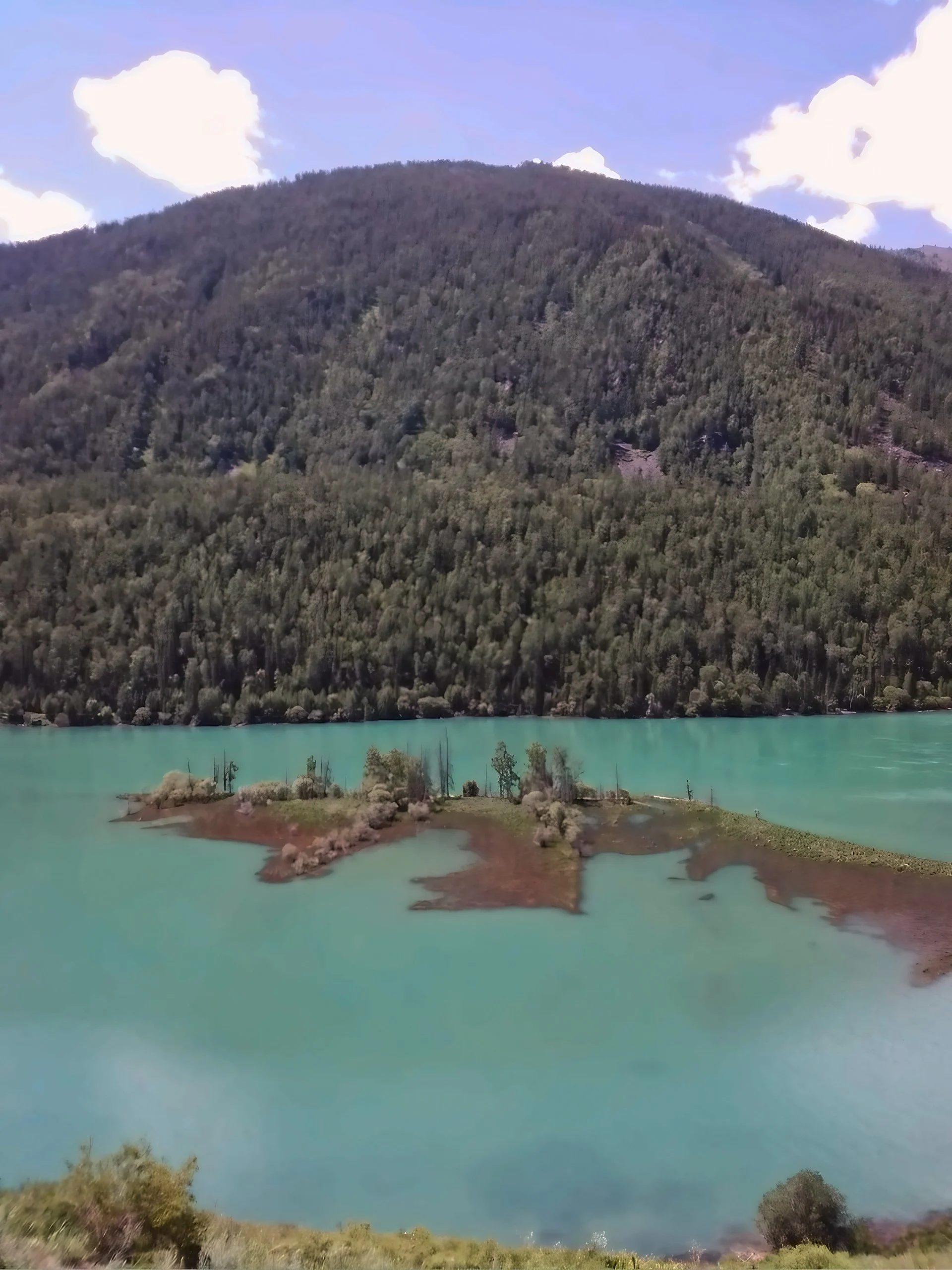 Turquoise water surrounds an irregular island with low vegetation and scattered trees beneath a densely forested mountain and a blue sky with white clouds.